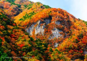 徳島県那賀町 / 2014