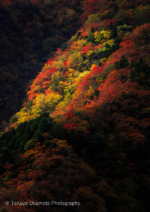 徳島県那賀町 / 2015