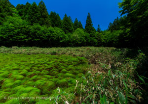 愛媛県久万高原町 / 2018