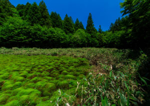 Takuya Okamoto Photography