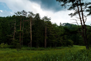 Takuya Okamoto Photography