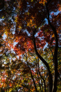 高知県高知市 / 2019