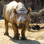 天王寺動物園 2019.12.8