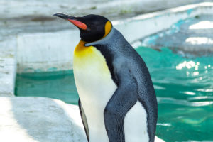 天王寺動物園 2019.12.8