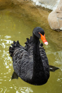 天王寺動物園 2019.12.8