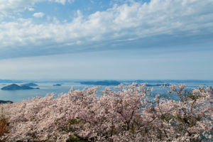 香川県三豊市 / 2019