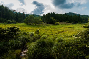 徳島県三好市 / 2019