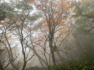 Takuya Okamoto Photography