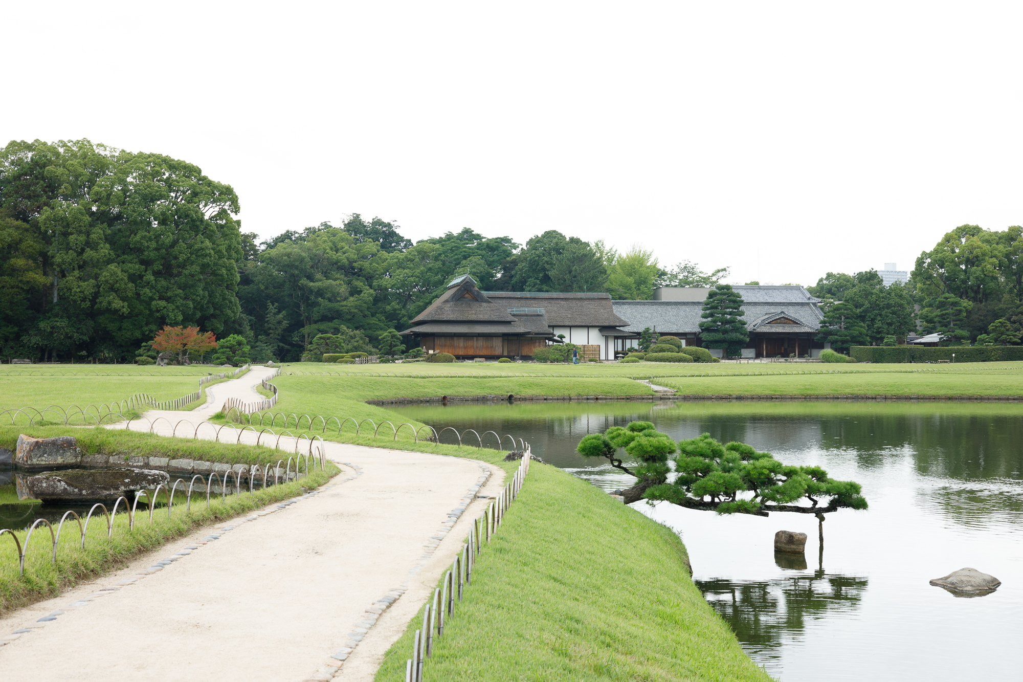 RF50mm F1.8 STMで後楽園（1）