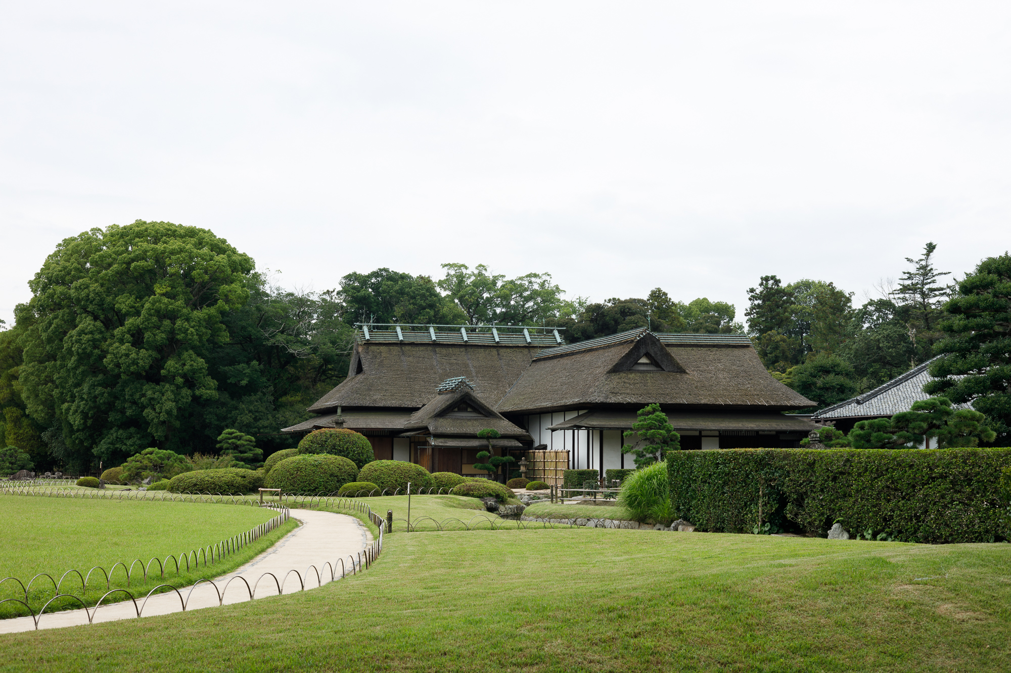 RF50mm F1.8 STMで後楽園（2）