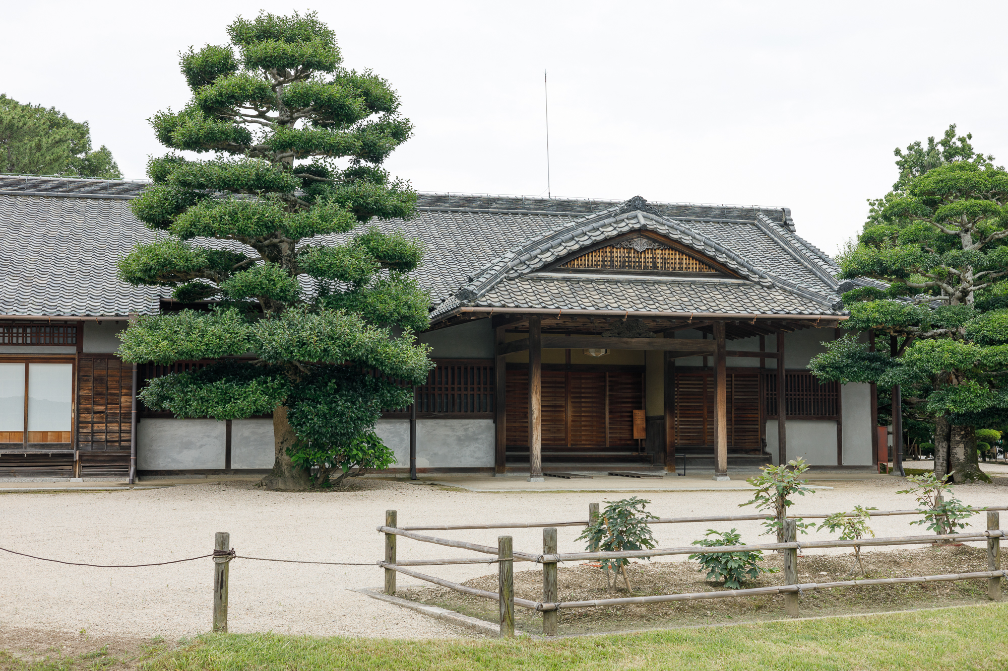 RF50mm F1.8 STMで後楽園（2）