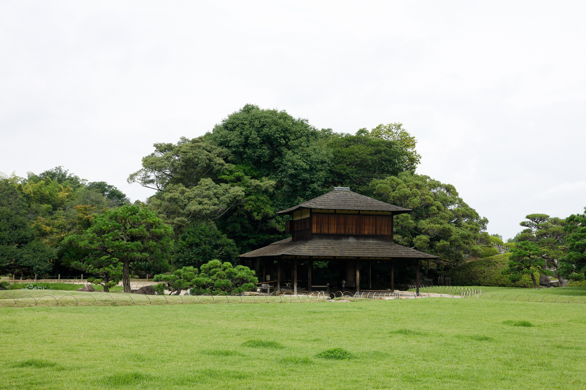 RF50mm F1.8 STMで後楽園（3）