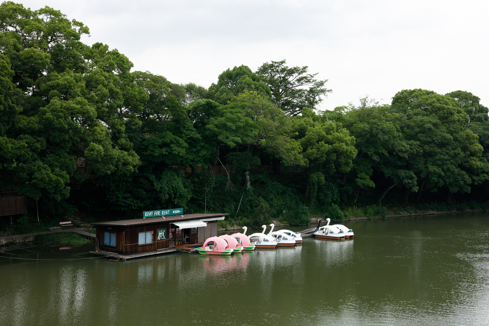 RF50mm F1.8 STMで後楽園（4）