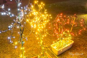KUT+illumination 高知県香美市 高知工科大学 / 2014