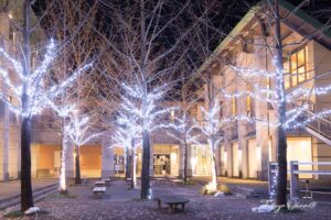 KUT+illumination 高知県香美市 高知工科大学 / 2014