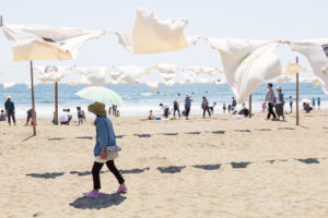 第28回Ｔシャツアート展 高知県黒潮町 入野の浜 / 2016