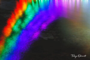 KUT+illumination 高知県香美市 高知工科大学 / 2019