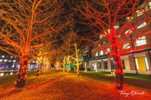 KUT+illumination 高知県香美市 高知工科大学 / 2019