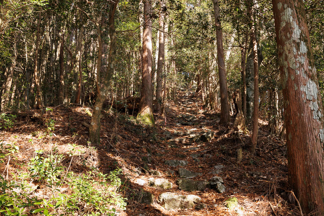 御在所山（高知県香美市）
