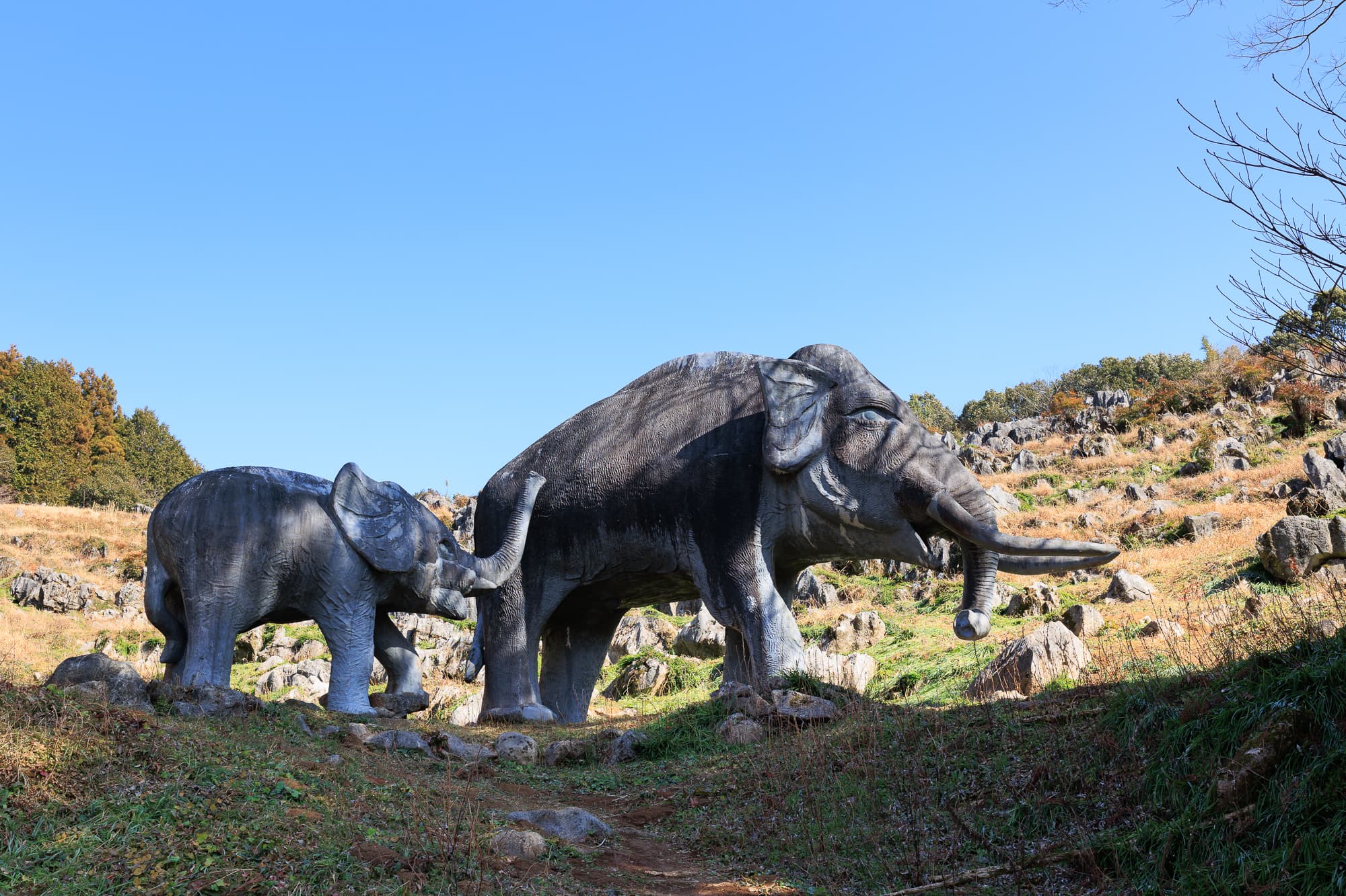 佐川町 佐川ナウマンカルスト