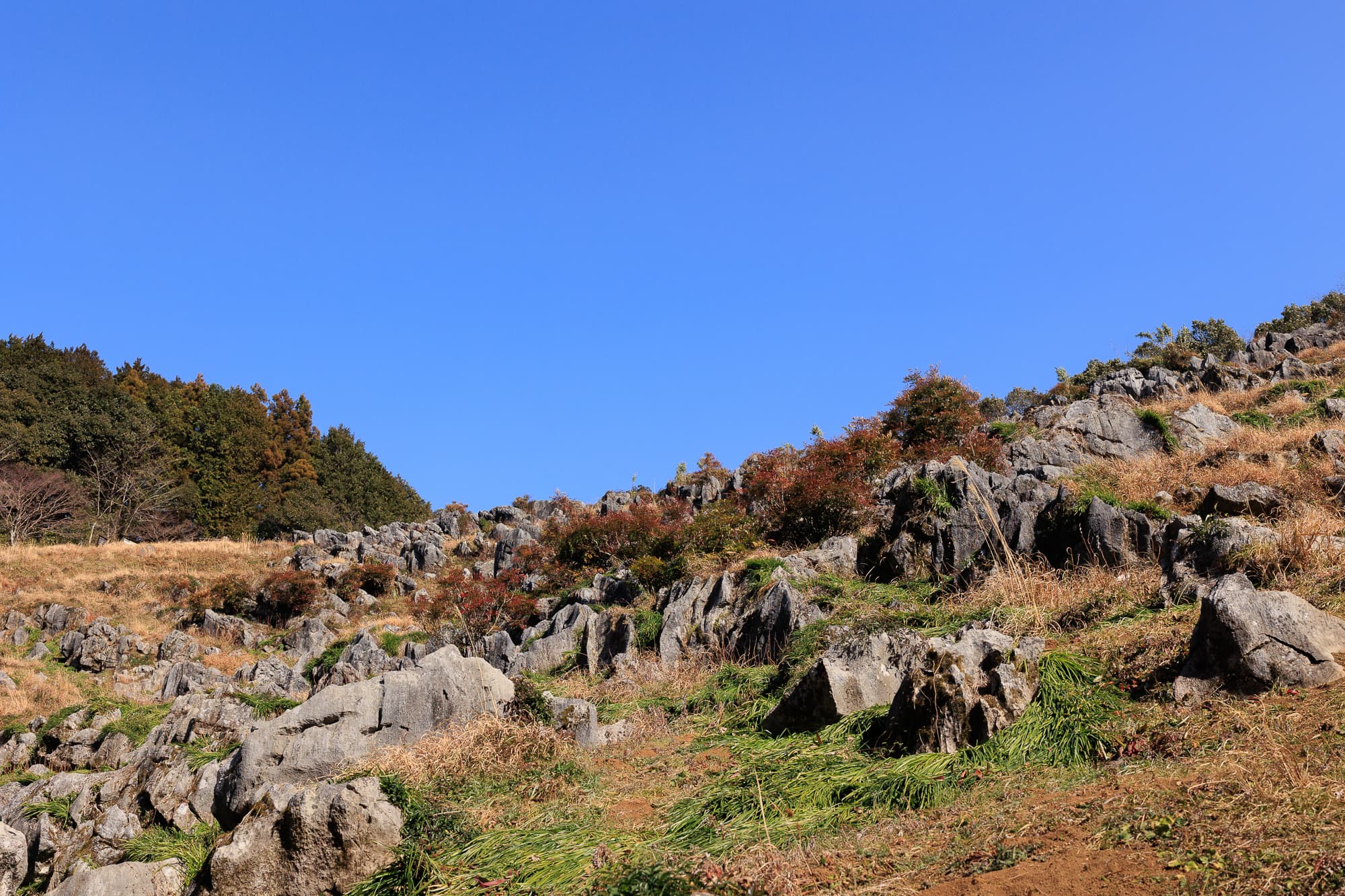 佐川町 佐川ナウマンカルスト
