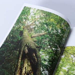 写真集「工石山の森」