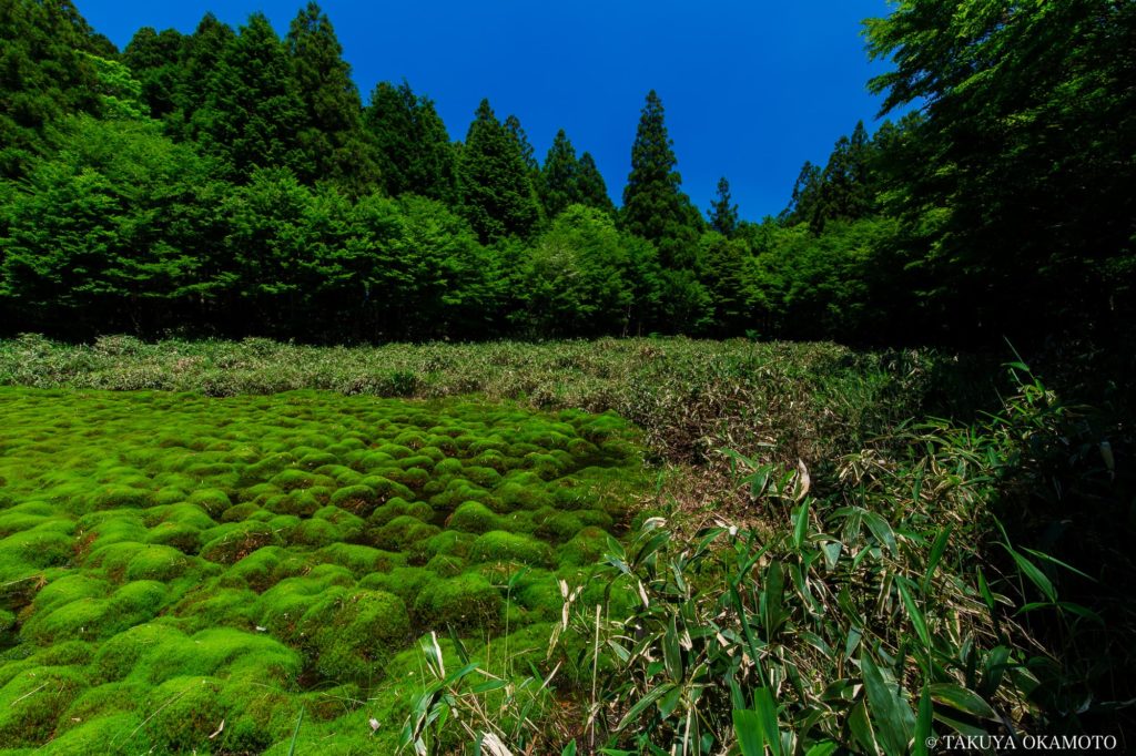 愛媛県久万高原町 / 2018