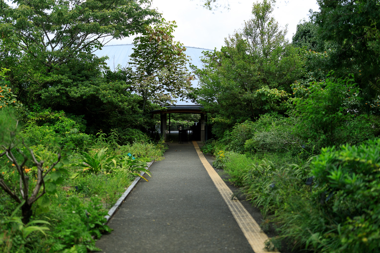 高知県立牧野植物園