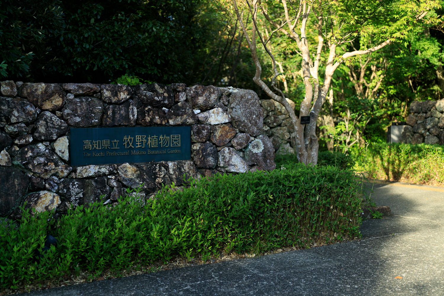 高知県立牧野植物園