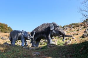 佐川ナウマンカルスト