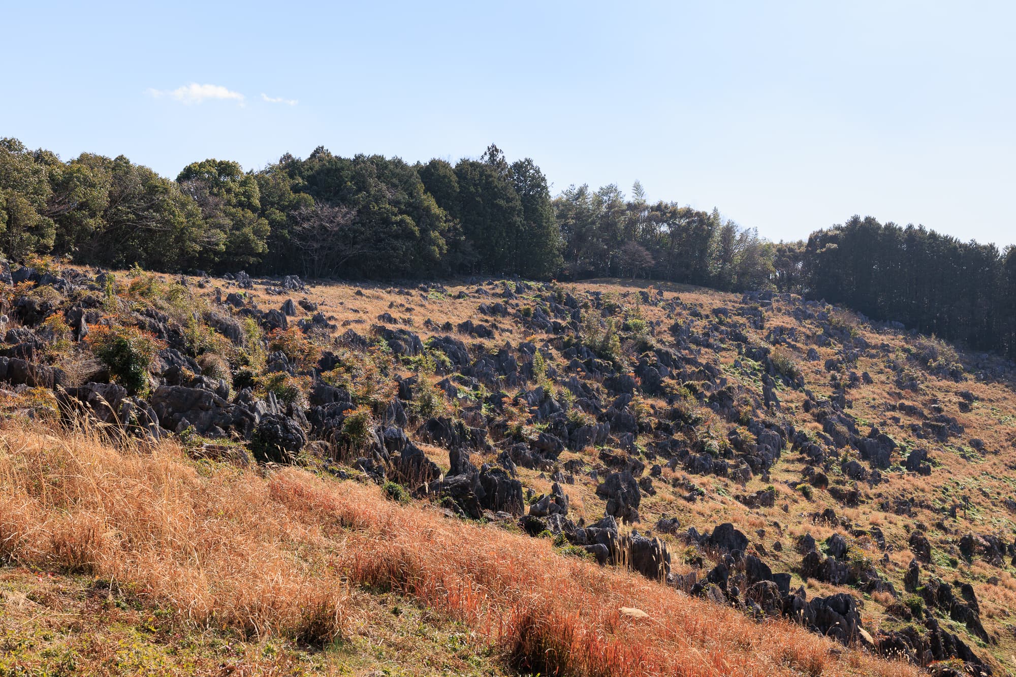 佐川ナウマンカルスト