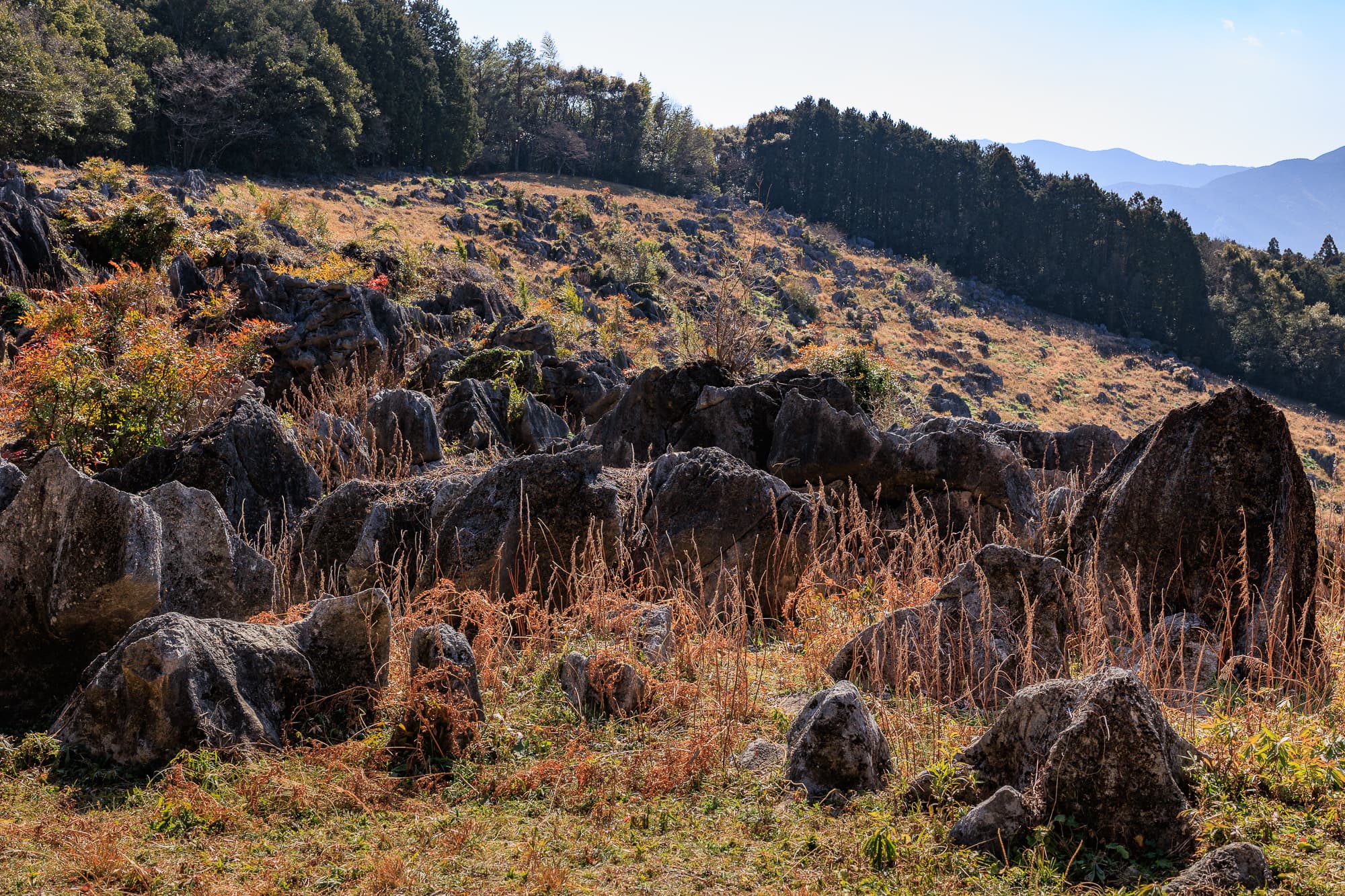 佐川ナウマンカルスト
