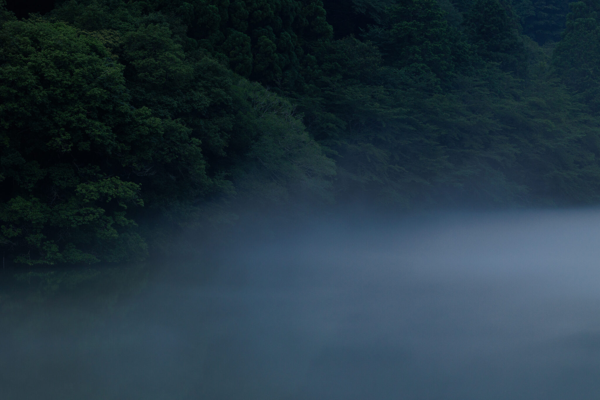 霧が立ち込める夕刻の物部川