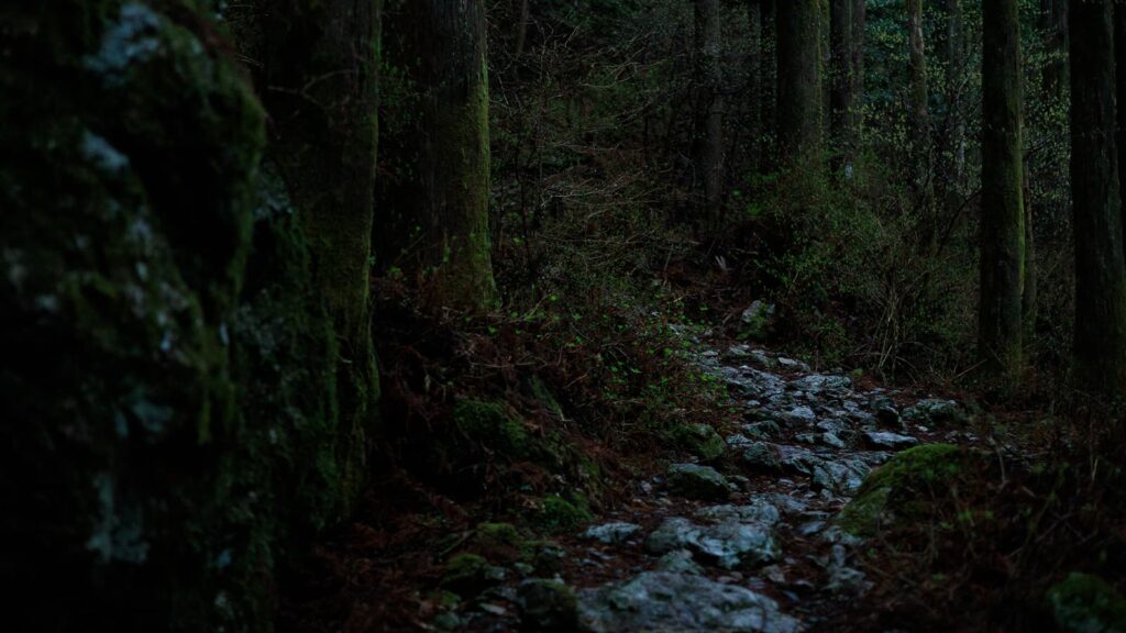 写真集「工石山の森」