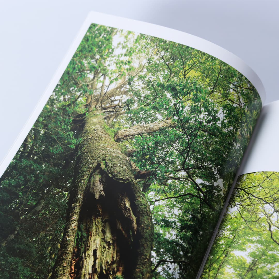 写真集「工石山の森」 写真集「工石山の森」