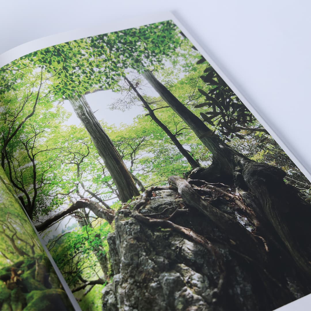 写真集「工石山の森」 写真集「工石山の森」
