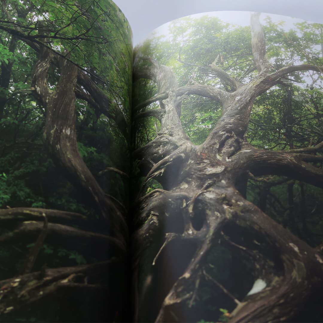 写真集「工石山の森」 写真集「工石山の森」