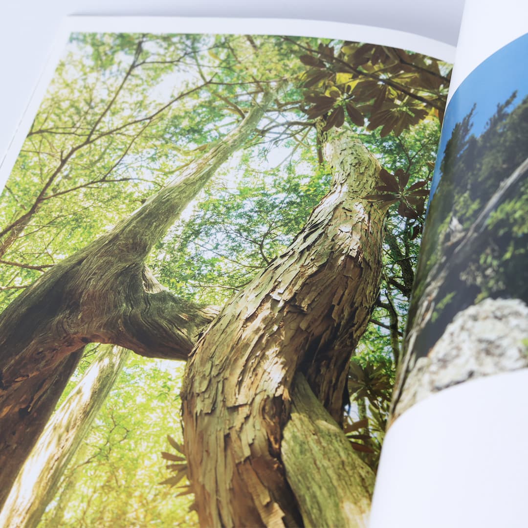 写真集「工石山の森」 写真集「工石山の森」