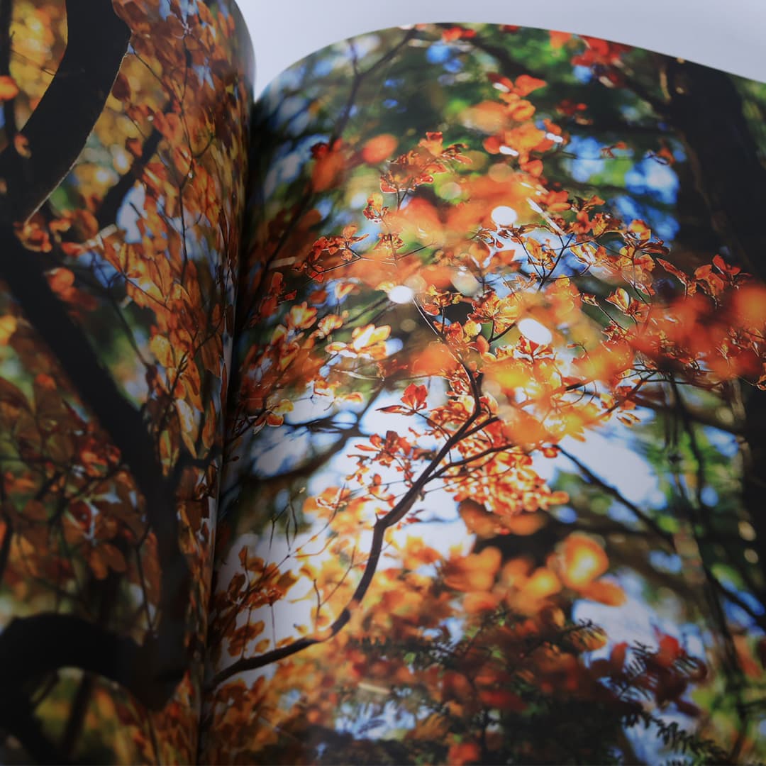 写真集「工石山の森」 写真集「工石山の森」