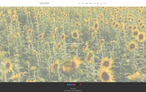 ウェブサイトのサーバー移転