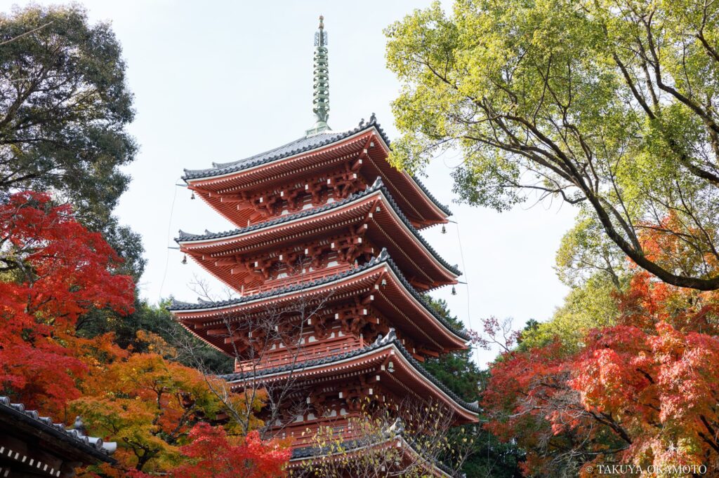 五台山 竹林寺 高知県高知市 / 2024