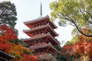 五台山 竹林寺 高知県高知市 / 2024