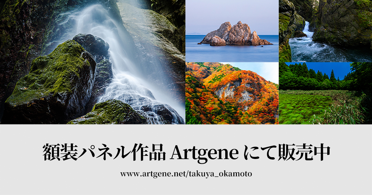 額装パネル作品 Artgeneにて販売中