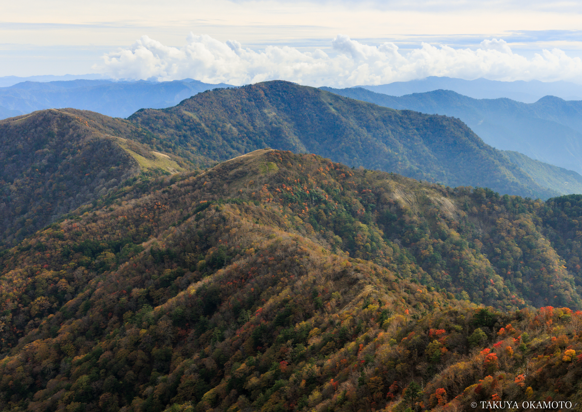 アートクロッシングものべ