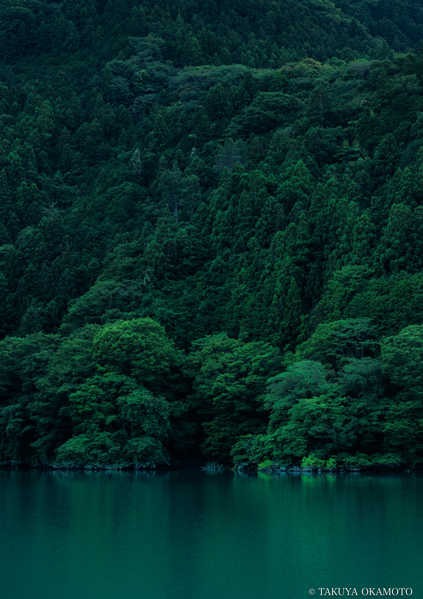 アートクロッシングものべ