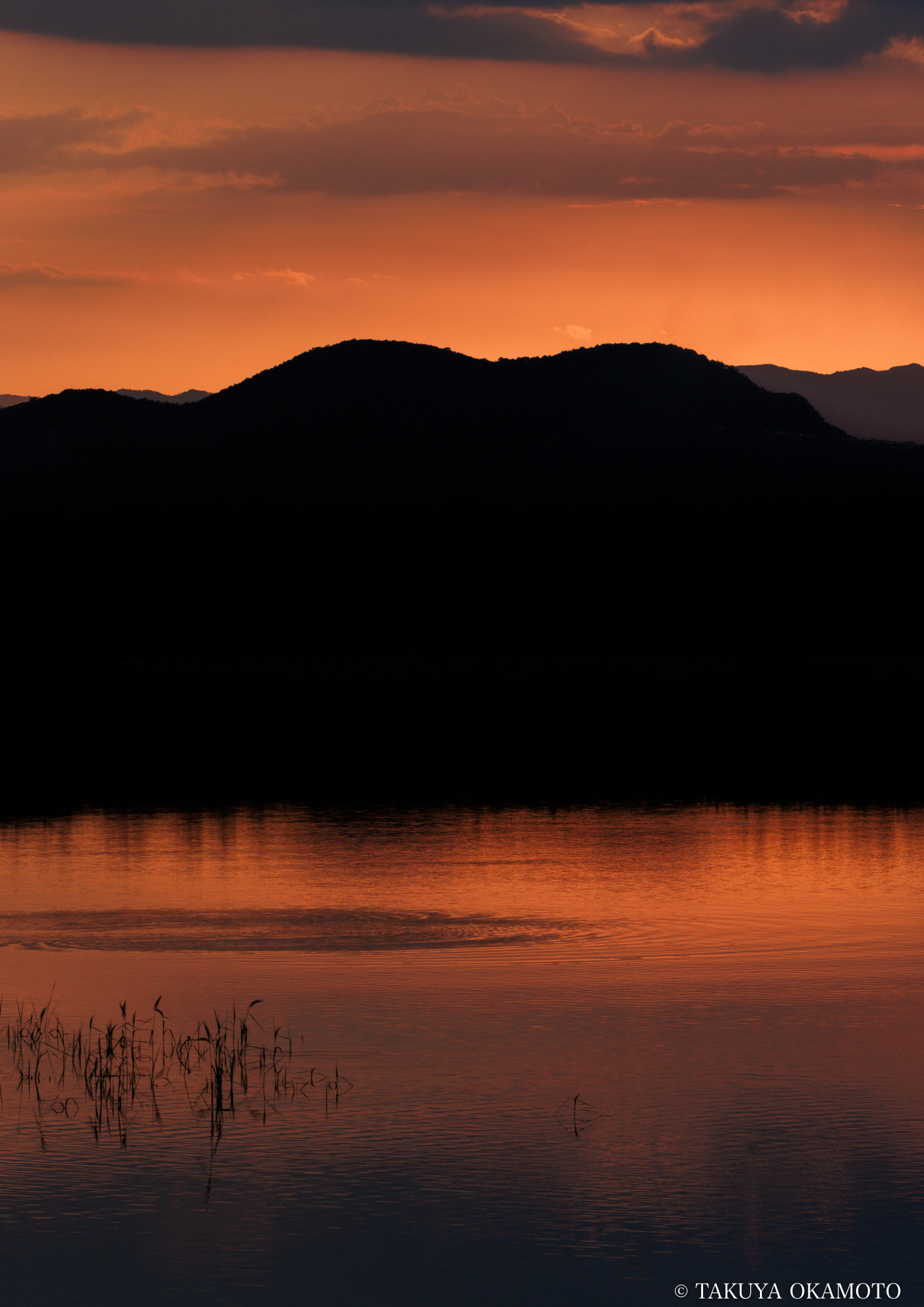 アートクロッシングものべ