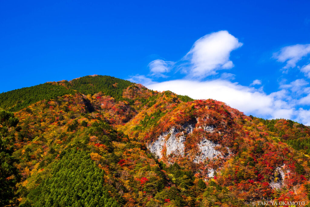 徳島県那賀町 / 2015