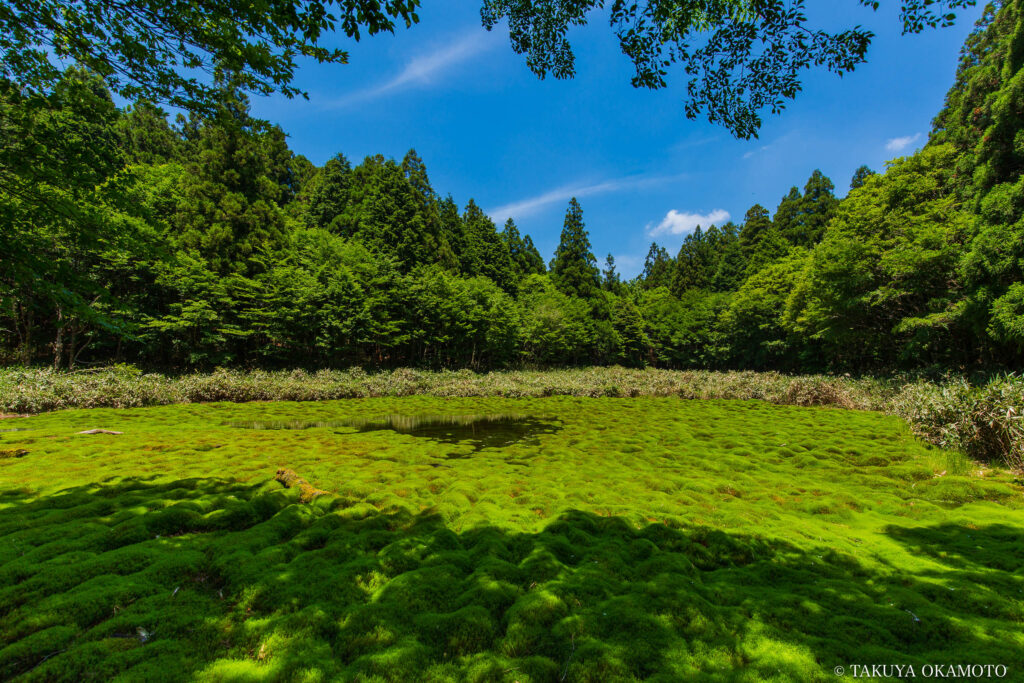 愛媛県久万高原町 / 2018