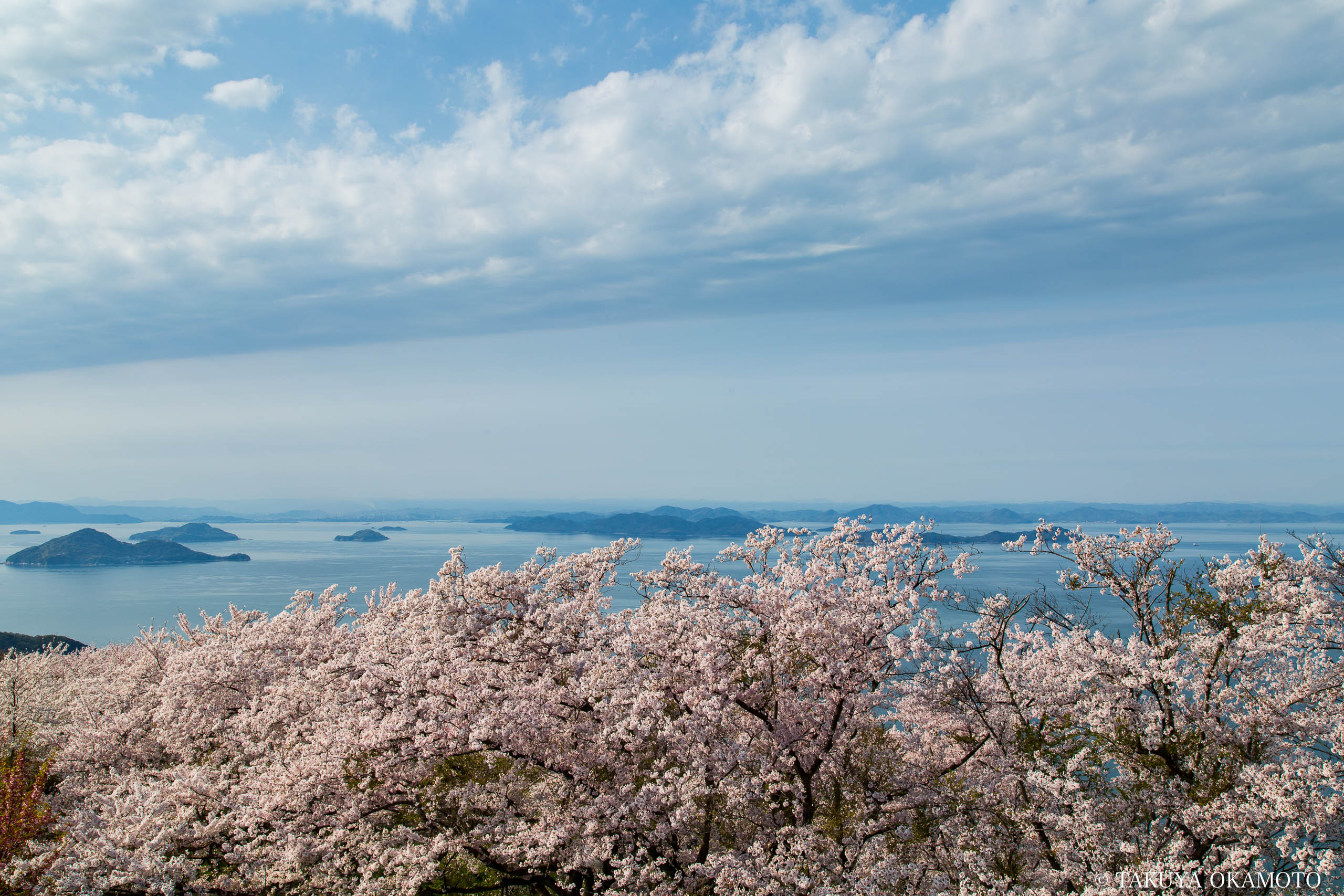 香川県三豊市 / 2019
