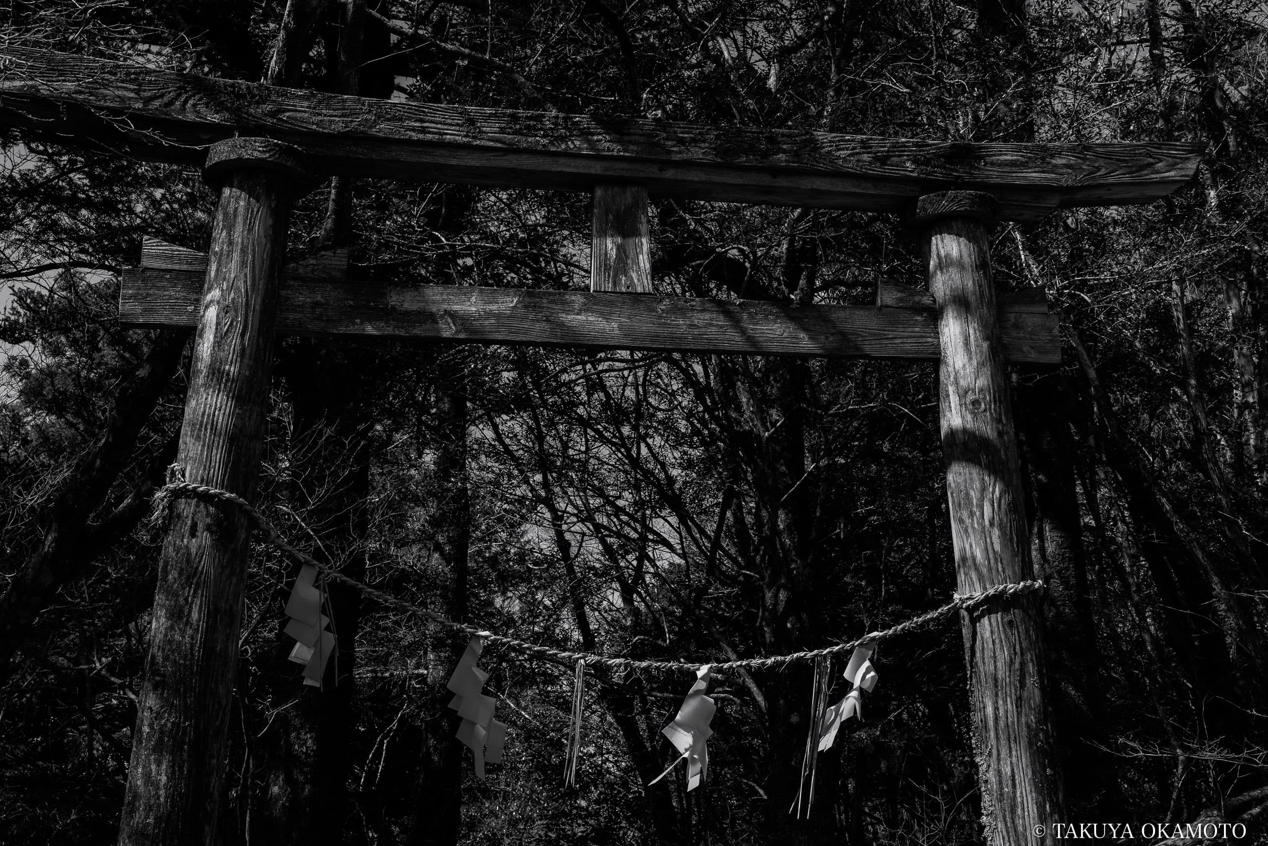 高知県高知市 工石山（北・南頂上分岐奥にある工石神社の鳥居）